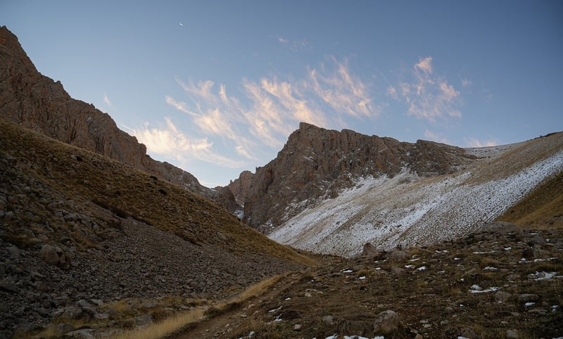 Trekking poles