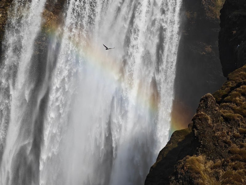 Iceland Landscape